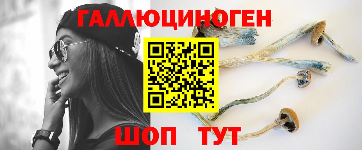 Йошкар-Ола  Галлюциногенные грибы ЛСД  Галлюциногенные грибы Psilocybine cubensis  Вход с VPN 